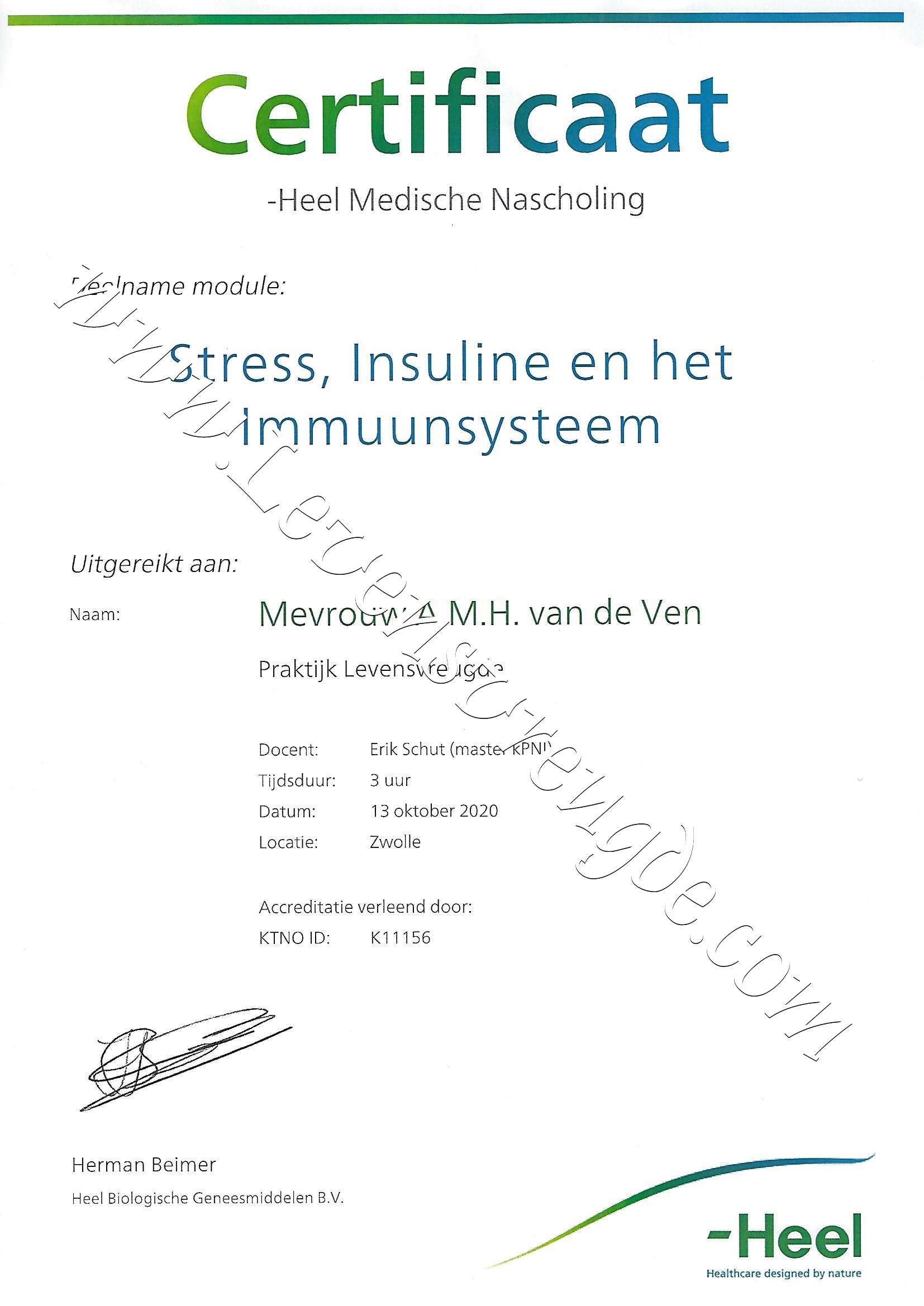 Stress, Insuline en het Immuunsysteem